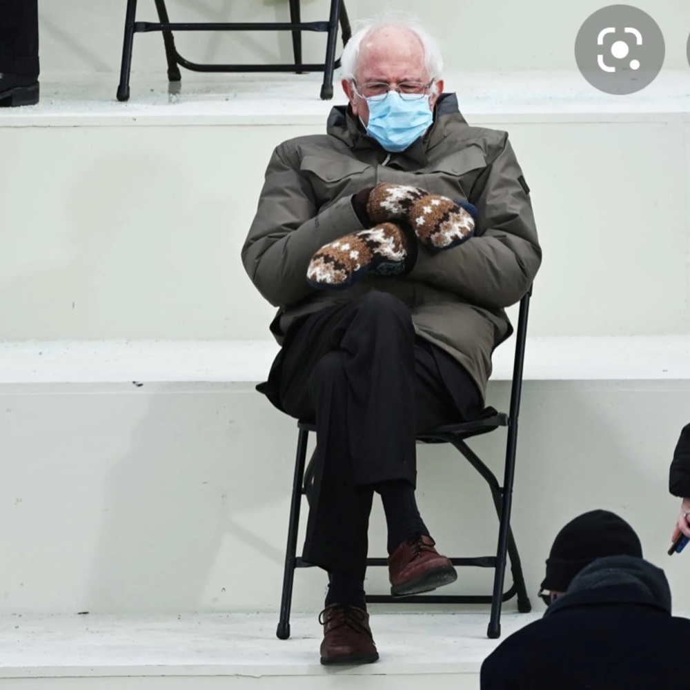 Bernie sanders mittens